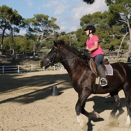 3 Bedroom Limni With Private Pool And Gardens, Aphrodite Hills Villa *